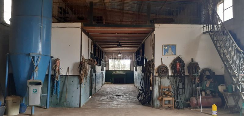 Foto bacfb0b4-a0d8-4e4c-8ecc-ff69065b83b5. Finca rústica a Villanueva del Ariscal