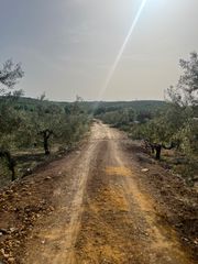 Mas à Olivares. Doñacasa ofrece parcela rustica con vivienda.