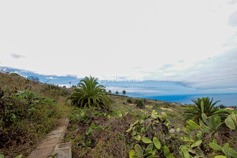 Foto 11f22763-6424-4844-86f8-838f8008c385. Finca rústica a El Pris - Juan Fernández Tacoronte