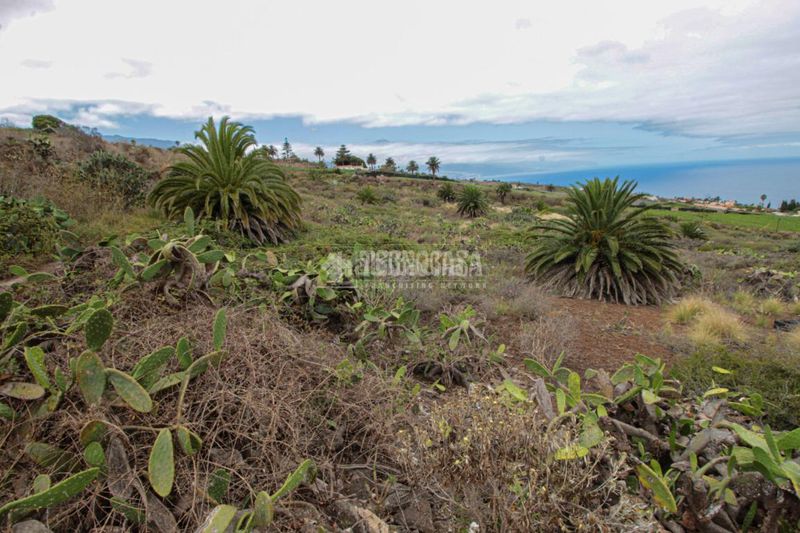 Foto 1c65d2d2-787a-4e3c-8187-b4c247dfd839. Finca rústica a El Pris - Juan Fernández Tacoronte