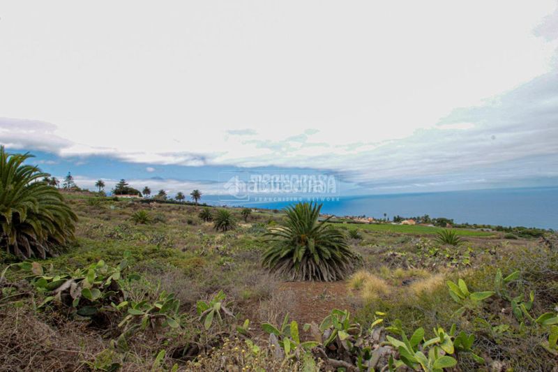 Foto 2b7138c0-5d6c-4415-969b-3a9ae14627be. Finca rústica a El Pris - Juan Fernández Tacoronte