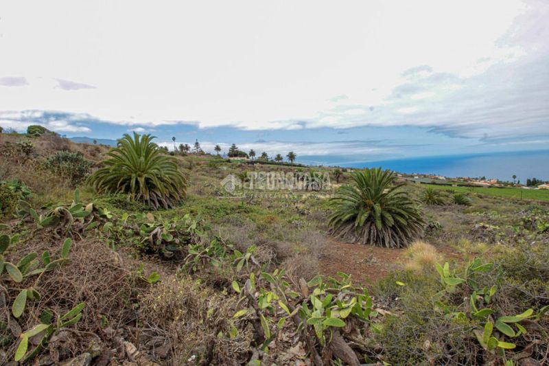 Foto 53cd9af2-8bda-44b0-b3bf-bc1fdc2ec297. Finca rústica a El Pris - Juan Fernández Tacoronte