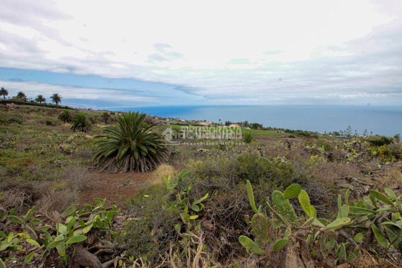 Foto 58ef2dda-9062-422e-92b8-c258d3ab76b4. Finca rústica a El Pris - Juan Fernández Tacoronte