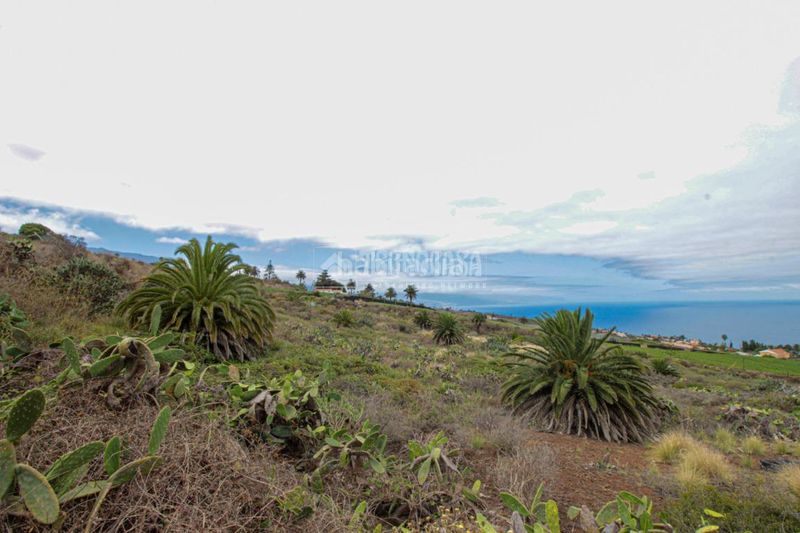 Foto 68fbfdcb-6b36-4942-9aff-0239e8a2cb99. Finca rústica a El Pris - Juan Fernández Tacoronte