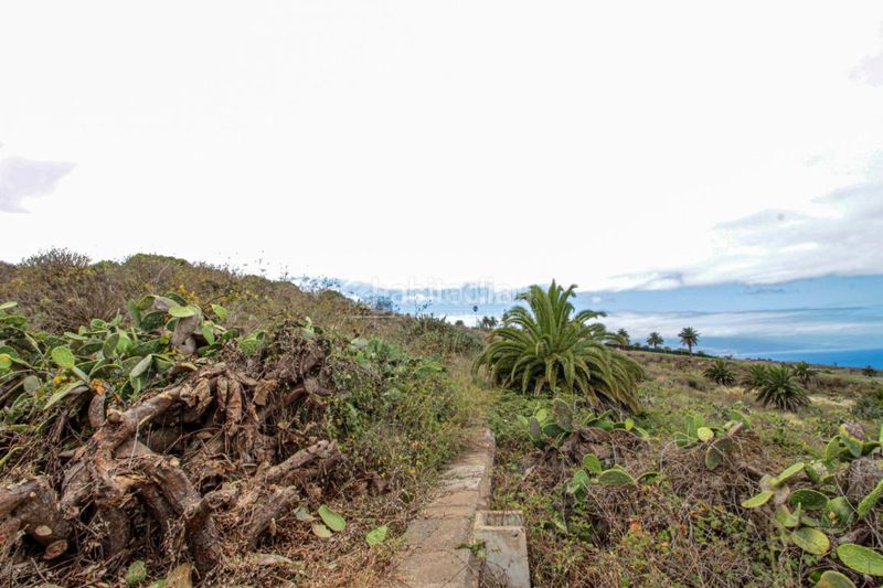 Foto 7303d924-9139-4359-b1fa-b5ba127378ac. Finca rústica a El Pris - Juan Fernández Tacoronte