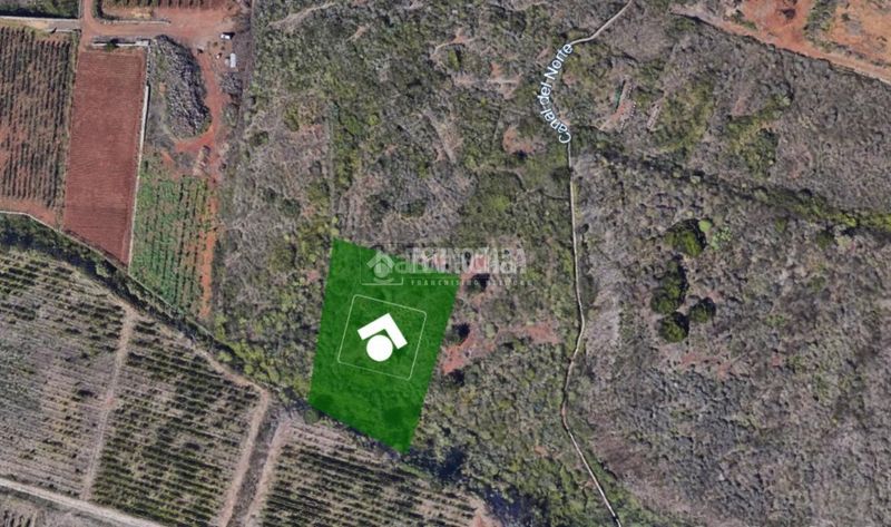 Foto a9a33191-91b3-48de-88cd-85cc8e25f71e. Finca rústica a El Pris - Juan Fernández Tacoronte