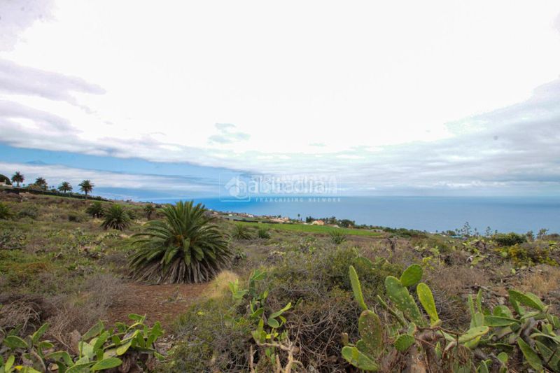 Foto ab0aa9aa-91f9-4a2d-aee7-d73b20f53327. Finca rústica a El Pris - Juan Fernández Tacoronte