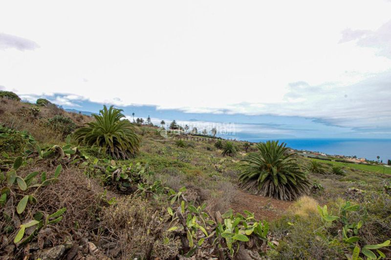 Foto b3ed2dda-3792-4b09-9c29-042dc73e64b4. Finca rústica a El Pris - Juan Fernández Tacoronte