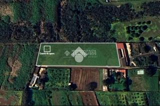 Finca rstica en Campo de Golf - Agua Garca - Juan Fernndez. Terrenos en venta en tacoronte