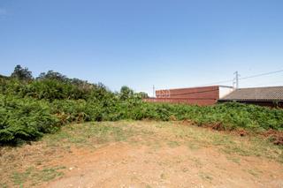 Finca rústica a Campo de Golf - Agua García - Juan Fernández. Terrenos en venta en tacoronte