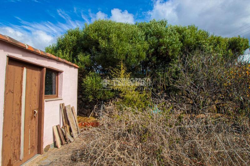 Foto d135173b-7f79-419f-8358-4eeda703b20f. Masia a Guayonje - Mesa del Mar Tacoronte