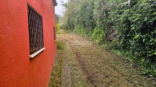 Finca r�stica en Campo de Golf - Agua Garc�a - Juan Fern�ndez. Terrenos en venta en tacoronte