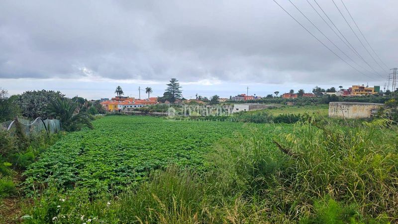 Foto 70d83538-a0ae-4006-8b3b-532c4123e93b. Finca rústica a Guayonje - Mesa del Mar Tacoronte
