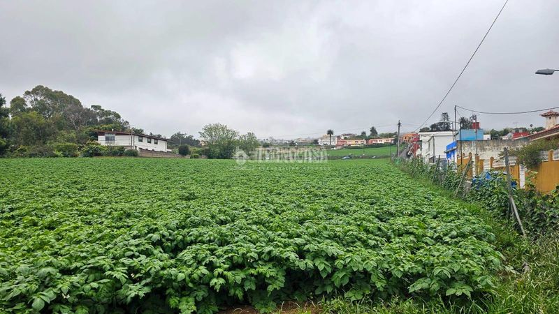 Foto abc07532-ddcf-4e2e-bb92-f5d4f2045842. Finca rústica a Guayonje - Mesa del Mar Tacoronte