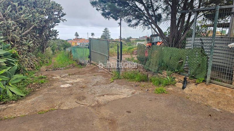 Foto b7d0f65c-5457-4813-abfd-0e5d368e1715. Finca rústica a Guayonje - Mesa del Mar Tacoronte