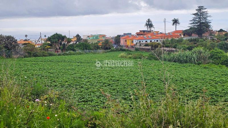 Foto d6e5862f-f026-4219-913e-b2294d491c5b. Finca rústica a Guayonje - Mesa del Mar Tacoronte