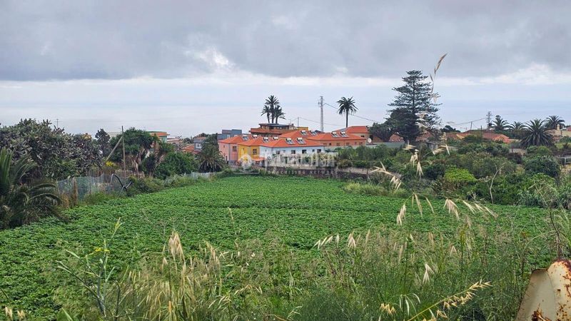 Foto e78202d9-4843-4521-b2de-d7faaef5cc64. Finca rústica a Guayonje - Mesa del Mar Tacoronte