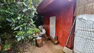 Finca rústica a Sauzal (El). Terrenos en venta en el sauzal