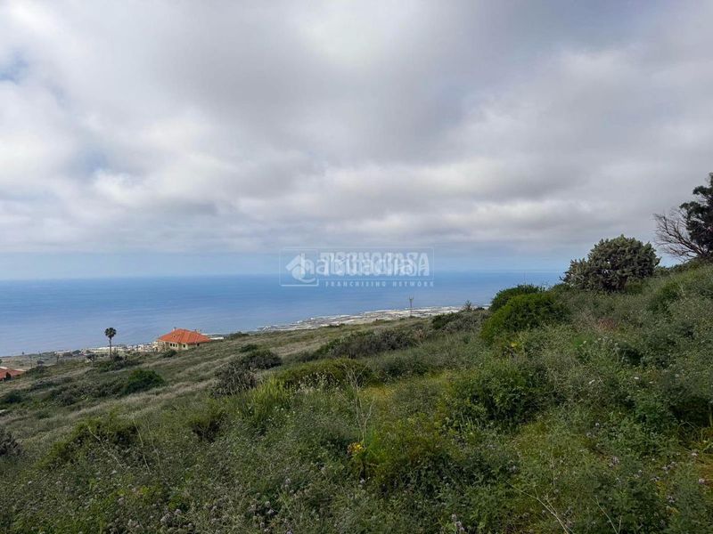 Foto 3b0791c1-dd98-44d0-9aa1-4fe33c57aaea. Finca rústica a El Pris - Juan Fernández Tacoronte