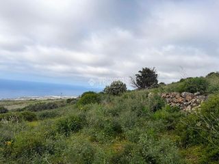 Finca rústica en El Pris - Juan Fernández. Terrenos en venta en tacoronte