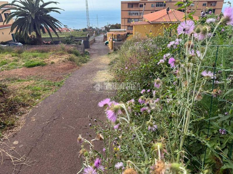 Foto bdb8e7e4-90aa-43d2-ab5e-4804476182c0. Finca rústica a El Pris - Juan Fernández Tacoronte