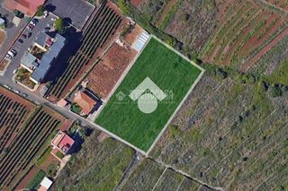 Finca rústica en El Pris - Juan Fernández. Terrenos en venta en tacoronte