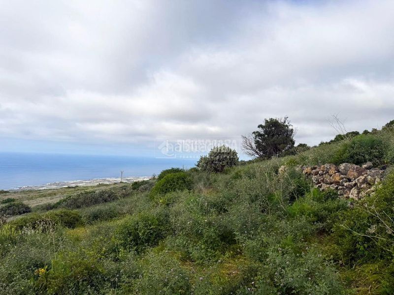 Foto e464919d-6823-4847-8706-4971414417a4. Finca rústica a El Pris - Juan Fernández Tacoronte