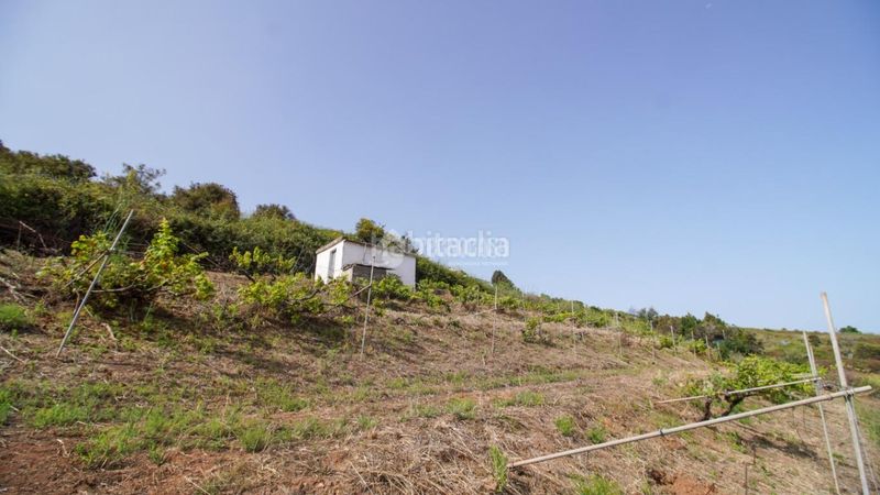 Foto 08e15e80-b3ec-4028-bfb0-2a917be3786e. Masia a Sauzal (El)