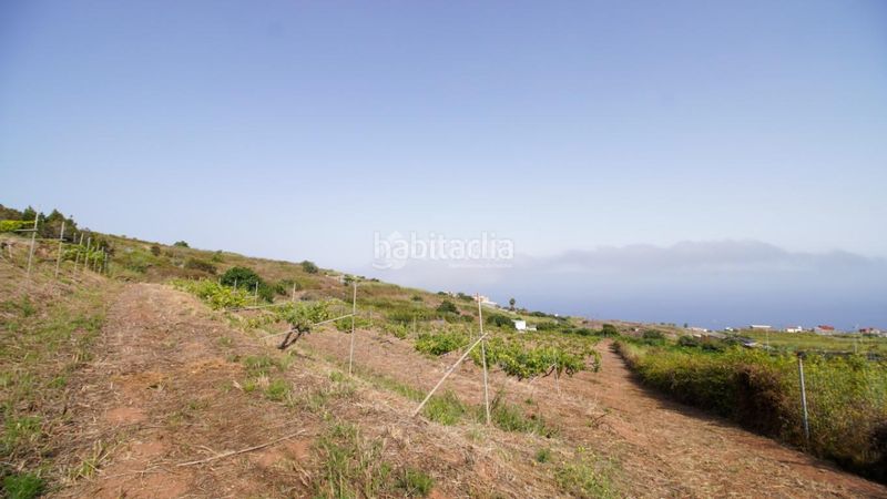 Foto 1c397cc8-cb01-4a8d-93ce-d66a6a28c864. Masia a Sauzal (El)