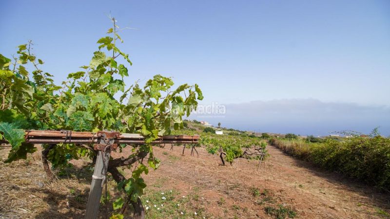 Foto 1dde1f9b-9245-4e86-b039-e1a90ba70ea8. Masia a Sauzal (El)