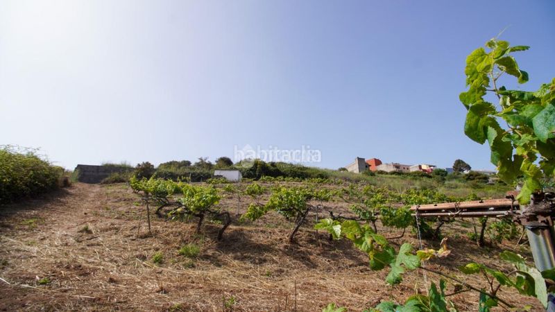Foto 4082d5d4-7413-4e91-b693-a232b893e9fc. Masia a Sauzal (El)