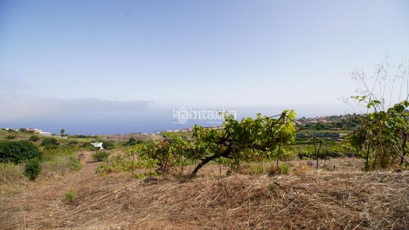 Foto 6543ac91-8b15-449a-9d32-fa1931869bd1. Masia a Sauzal (El)
