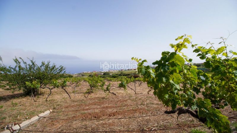 Foto 7b801224-bd2f-451f-b1e6-3bfeed11a0ca. Masia a Sauzal (El)