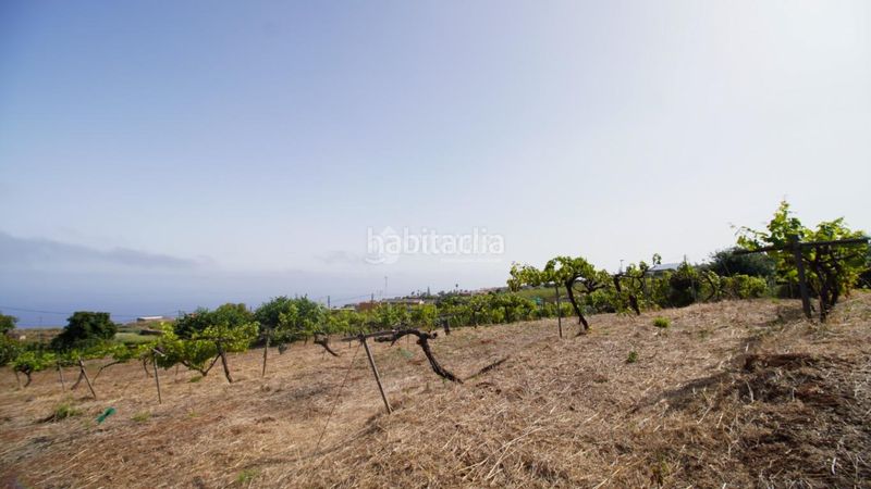 Foto 7f46ca11-5e9e-462d-8f10-79e06e36081e. Masia a Sauzal (El)