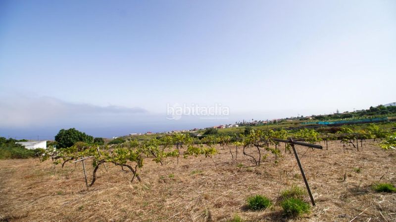 Foto e140c7a7-a191-42d2-8060-c27e1e7fe640. Masia a Sauzal (El)