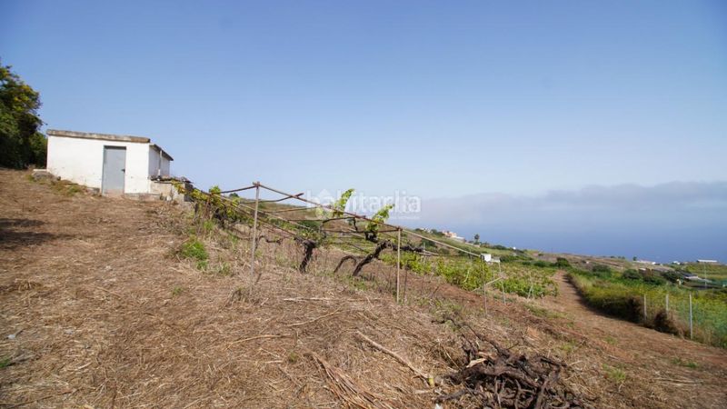 Foto f812678f-f105-4005-899d-f4617ddc08e7. Masia a Sauzal (El)