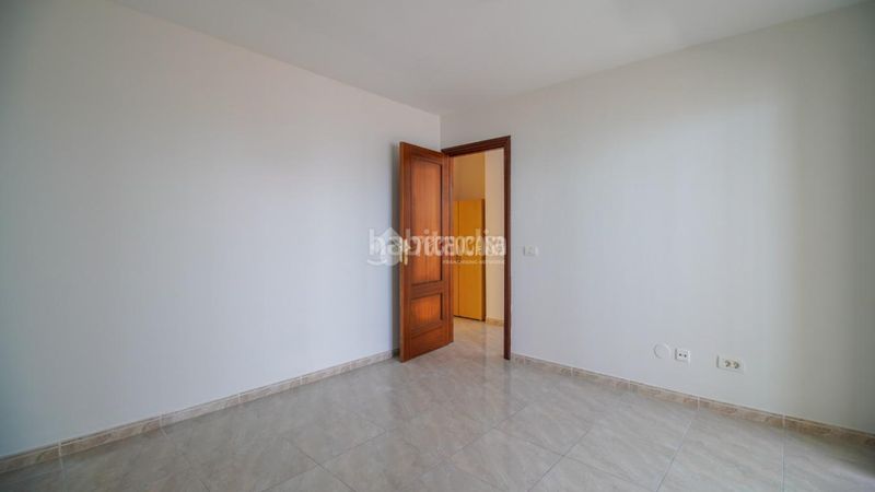 Foto 4afb4472-02da-4838-bbef-c8d16b00e688. Pis a Matanza de Acentejo (La)