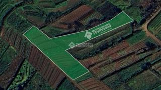 Fondo rustico in Sauzal (El). Terrenos en venta en tacoronte