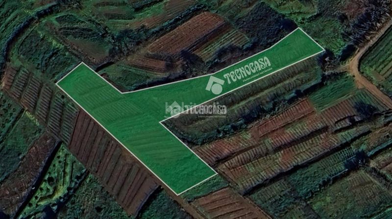 Foto 1b7a08f4-c1c0-4abb-8578-ed87097d0b09. Finca rústica a Sauzal (El)