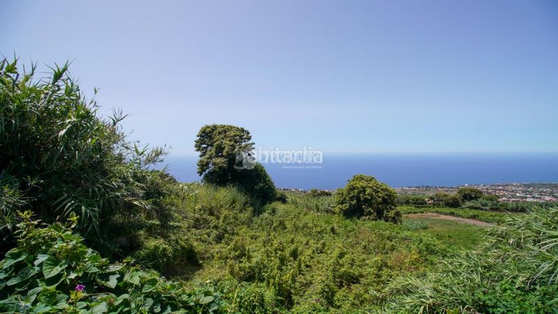 Foto 69db0999-1c3c-40c0-a800-ad7b8b0894e9. Finca rústica a Sauzal (El)