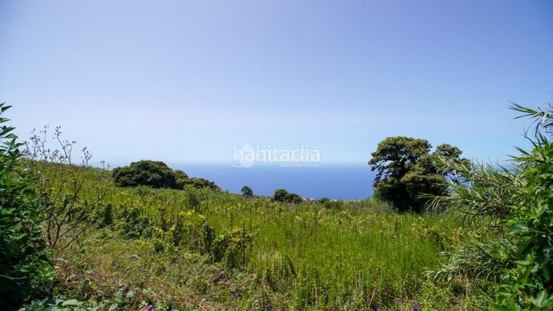 Foto d65409a5-a193-475b-97b7-b0242af88357. Finca rústica a Sauzal (El)