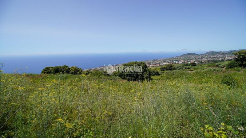 Foto e49300b3-7fe7-4062-b34e-502a6947cd1d. Finca rústica a Sauzal (El)