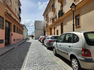 Pis  Cl pavia (d)