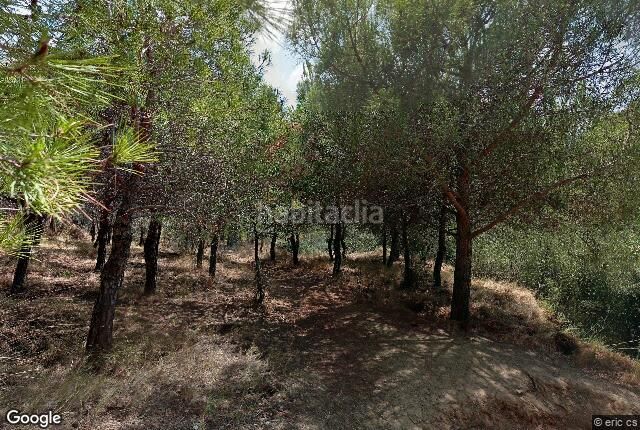 Foto 6339b7d2-a8fe-443b-9c5b-46b7dc758c19. Pis a Centre Viladecans