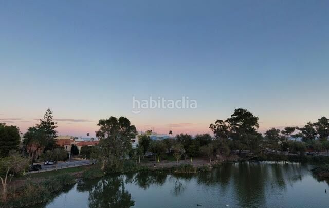 Foto b453b1d5-2890-464d-8729-889396df61b3. Pis a Nules