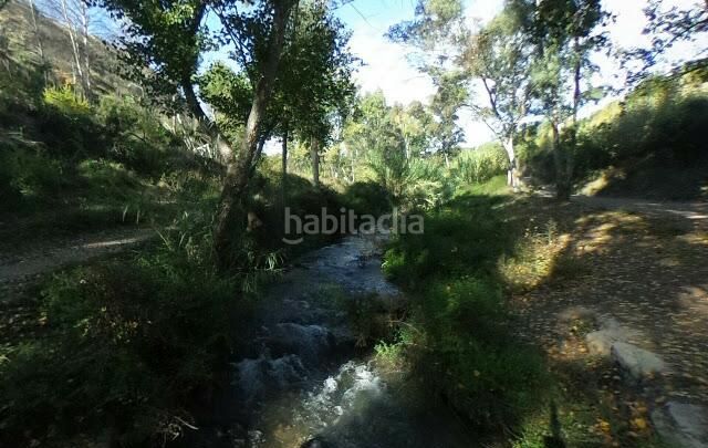 Foto 3587612a-db06-4503-b5b7-56438a61a9a5. Pis a Chelva