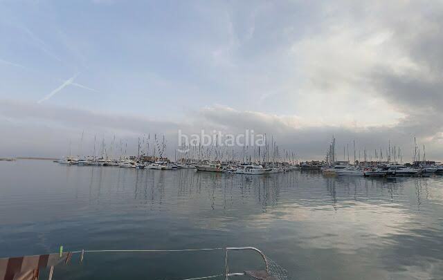 Foto d7fc754a-c69d-4152-b404-319130c5a8f6. Pis a Pedreguer