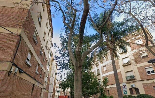 Foto f1057f59-12d6-4c06-bddd-d4ac78ce9966. Pis a Migjorn Reus