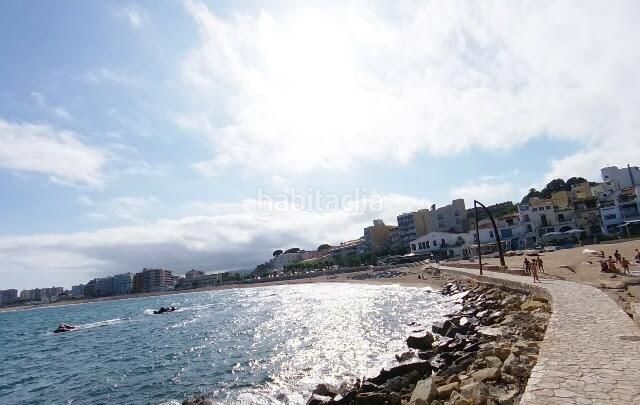 Foto 5e9c03f6-1922-454c-ba0d-d34f87acd770. Pis a Centre Blanes