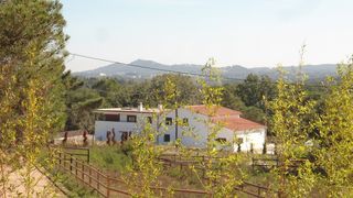 Chalet  Ds can merla serra